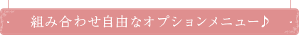 組み合わせ自由なオプションメニュー